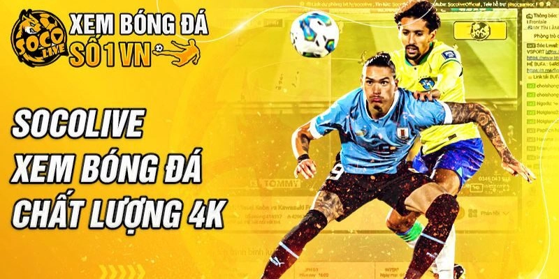 Socolive là nền tảng có sự ổn định
